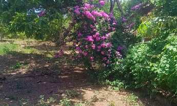 Imagem 6: Chácara para lazer no professor Jamil 2.860mt com Rio no fundo