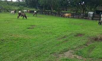 Imagem 7: Vende-se fazenda porteira fechada em mucajai