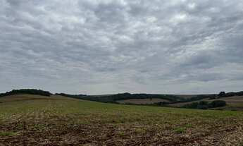 Imagem 4: Sítio de 8 alqueires na colônia nova