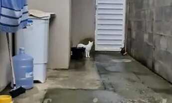 Imagem 5: VENDA-Casa no jardim Europa Condomínio Malibu