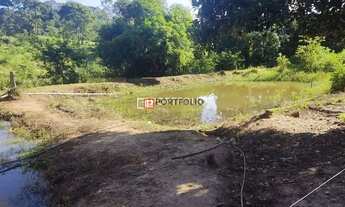 Imagem 7: Fazenda Rural à venda, Zona Rural, Jaraguá - FA0006