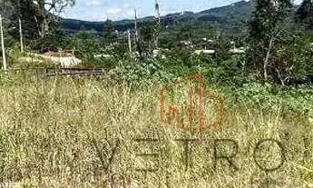 Imagem 3: Terreno de Esquina à Venda em Gramado no Loteamento Esperanto!