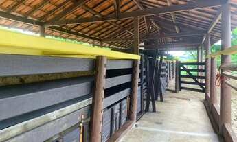 Imagem 5: VENDA-SE ESTÁ FAZENDA DE 96 ALQUIRES NO Espirito Santo/ES