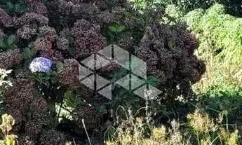 Imagem 6: Lindo Terreno de esquina com 582m2 no Bairro Imigrante