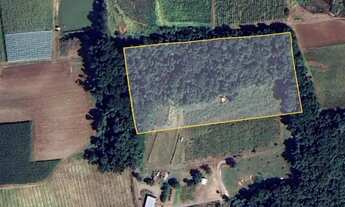 Imagem 3: Sítio com 2 Hectares e Parreiral no interior de Flores da Cunha - RS