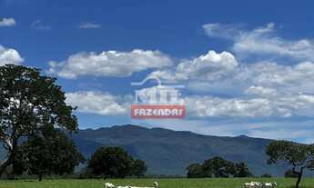 Imagem 2: Fazenda 363 alqueires ( 1.760 hectares ) Colinas do Sul-GO