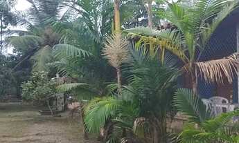 Imagem 5: Alugo final de Ano, casa 4 quartos sendo 1 suite e cozinha completa.