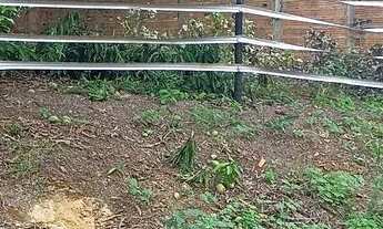 Imagem: LOTES AURENY III ( 2 juntos