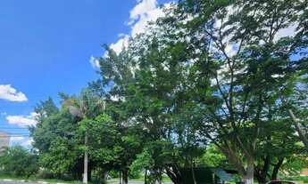 Imagem 4: TERRENO - JARDIM INDIANÓPOLIS - SP