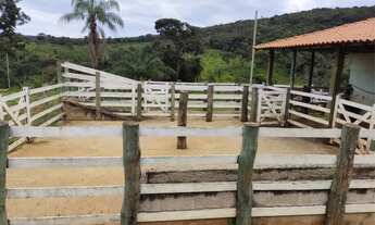 Imagem 4: Fazenda 75 hectares