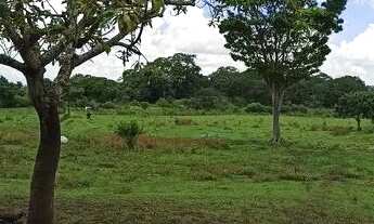 Imagem 7: Chácara 42.000 metros Chácara Recreio Samabaia