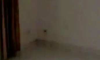 Imagem 3: 2+1 Quartos Térreo em Excelente Localização do bairro de Piedade