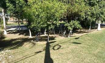 Imagem 4: Terreno à venda em Campinas, Jardim Indianópolis, com 737 m²