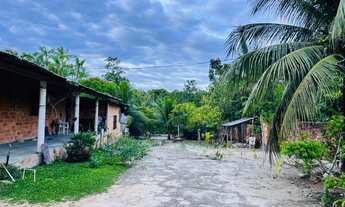 Imagem 5: Vendo lindo sítio na Vila do Cruzador/ Marapanim