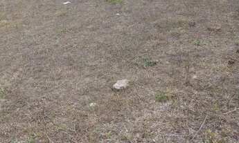 Imagem 4: Terreno localização no povoado novo descoberto