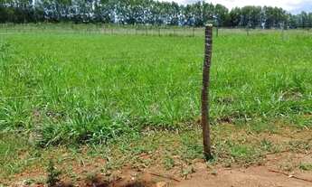 Imagem 2: Lote para Venda atrás da Fazenda Jaboticabal