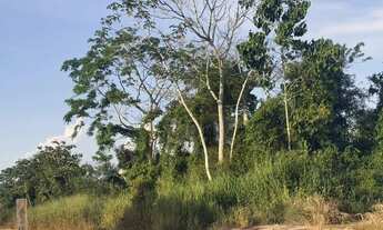 Imagem 6: Vendo 2 lotes no Planalto são José Br 163 R$ 80 mil