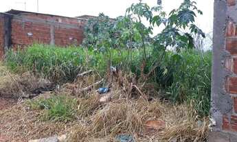 Imagem 7: Vendo lote na Rajadinha 3