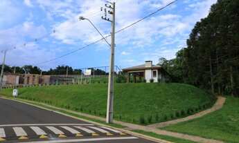 Imagem 4: Terreno à venda em Colonia dona luiza, Ponta grossa cod:8451-19