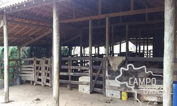 Imagem 3: Campo Brasil Imóveis, realizando seu sonho rural! Sítio com área de 7 alqueires!