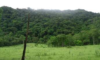 Imagem 4: Sitio valor R$ 8.500,00 cada hectares