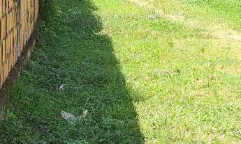 Imagem 2: Terreno na ilha Terreno / lote com venda por R$50.000