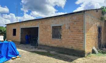 Imagem 2: Grande casa com terreno de 25 mil metros quadrados e arvores frutíferas