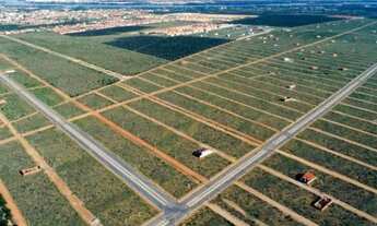 Imagem: Terreno nova Petrolina