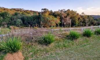 Imagem 3: Terreno em São José dos Pinhais, na Estrada Principal da Cotia com 30.000 m² (3 hectares)!