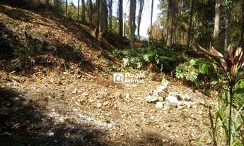 Imagem: Terreno à venda 2231 m² - Centro - Nova