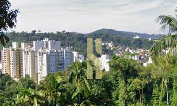 Imagem 3: Terreno à venda, 333 m² por R$ 264.000,00 - Vila Nova - Blumenau/SC