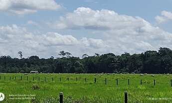 Imagem: R$ 5 milhões de reais fazenda com 532 hectares