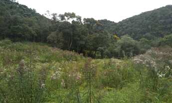 Imagem 4: Sítio de 7 Alqueires, Rico em Água e Terra Fértil!!! - Delfim Moreira/MG