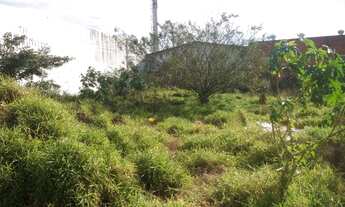 Imagem 2: PORTO ALEGRE - Terreno Padrão - Humaitá