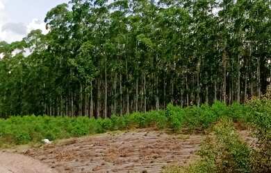 Imagem 15: Vendo lote em Igaratá, com acesso a represa pagamento facilitado