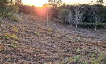 Imagem 7: Terreno em São José dos Pinhais, na Estrada Principal da Cotia com 30.000 m² (3 hectares)!