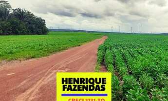 Imagem 5: Fazenda a venda na região de Miranorte