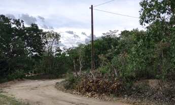 Imagem 3: Chácara 4000m², muito arborizada, Energia, Local Agradavel, Entre Guapo/Aragoiânia