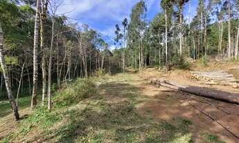 Imagem 4: Belo terreno em Campo Alegre