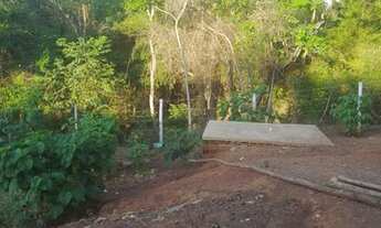 Imagem 6: Chácara próximo a Inhumas 33 litros