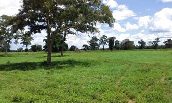 Imagem 3: Fazenda Cocalinho - MT com 986 alqueires!