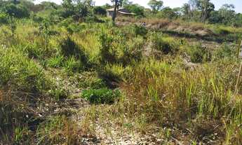 Imagem: Lote em Luiz Alves - Rio Araguaia