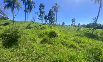 Imagem 3: TERRENO COM AMPLO ESPAÇO PARA VOCEE