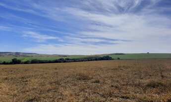 Imagem 5: Fazenda a venda em Campo Alegre - Go - 870 Ha - Jóia Rara!