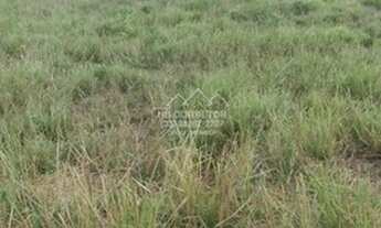 Imagem 7: Coração de Jesus - Fazenda - Centro