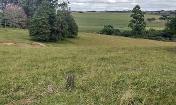 Imagem 2: Sítio Á Venda Região De Itapetininga 4 Alqueires