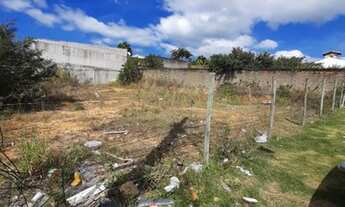 Imagem 5: Excelentes lotes à venda na parte alta do Novo Horizonte