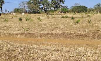 Imagem 7: Fazenda Município Pires do Rio - GO