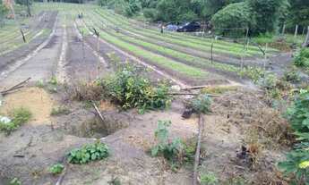 Imagem 2: Terreno medindo 40m por 95m no brasileirinho