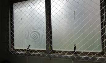 Imagem 2: Apartamento para aluguel tem 56 metros quadrados com 2 quartos